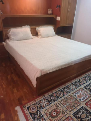 Him Aaranya Home stay Shimla